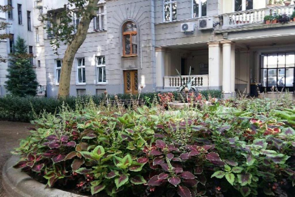 Gorgeous Flat Right Near The City Center บูดาเปสต์ ภายนอก รูปภาพ